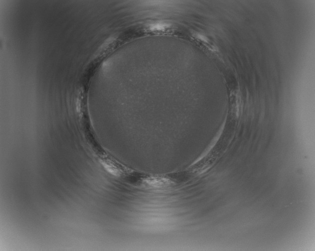 X0000074030712200609181927