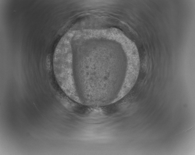 X0000074030715200609181927