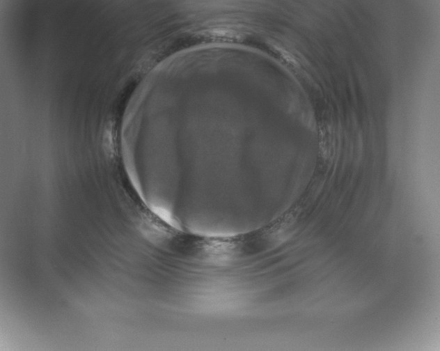 X0000074030718200609181926