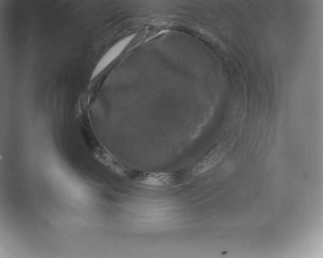 X0000074030720200609181926