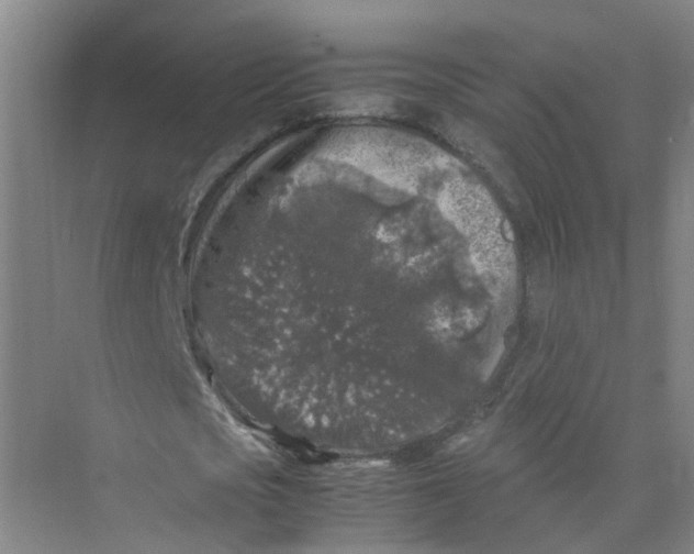 X0000074030721200609181926