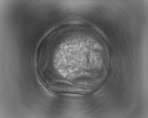 X0000074030722200609181926