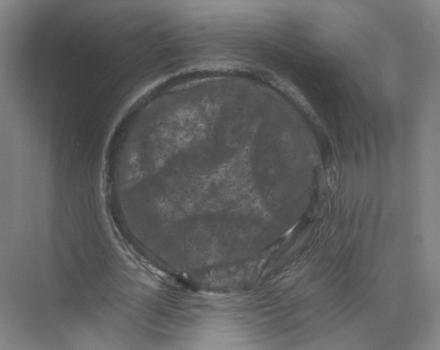 X0000074030724200609181926