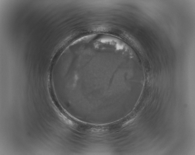 X0000074030725200609181926