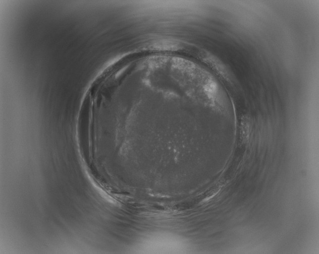 X0000074030726200609181926