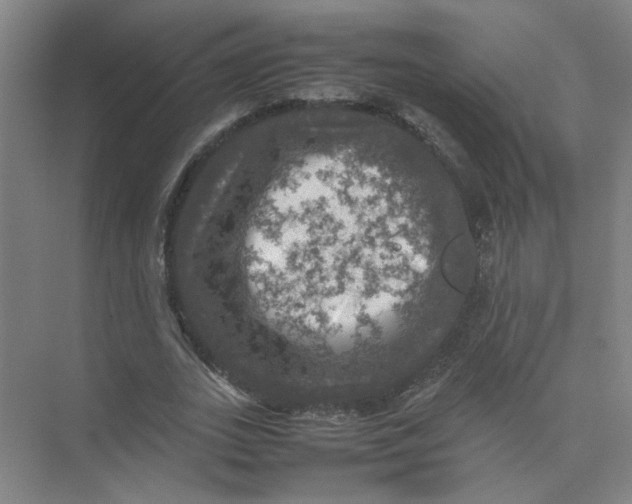 X0000074030727200609181926