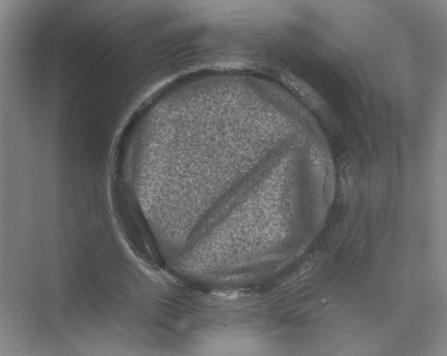 X0000074030728200609181926