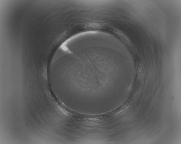 X0000074030729200609181926