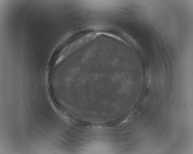 X0000074030730200609181926