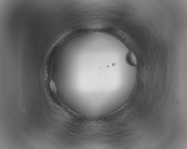 X0000074030731200609181926