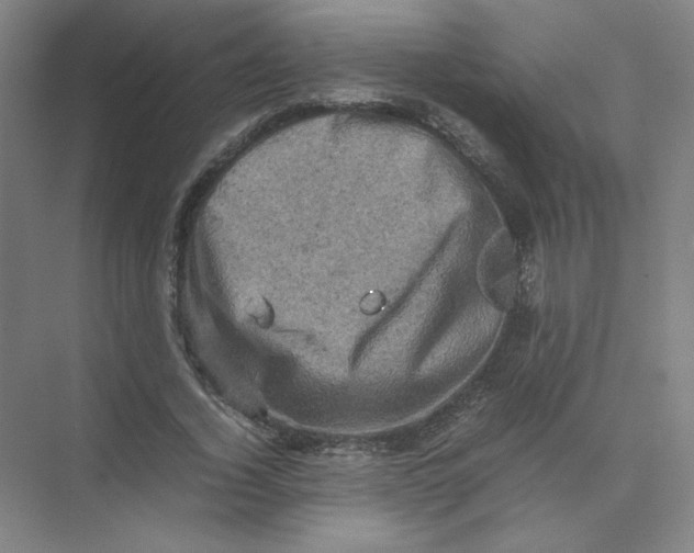 X0000074030732200609181926