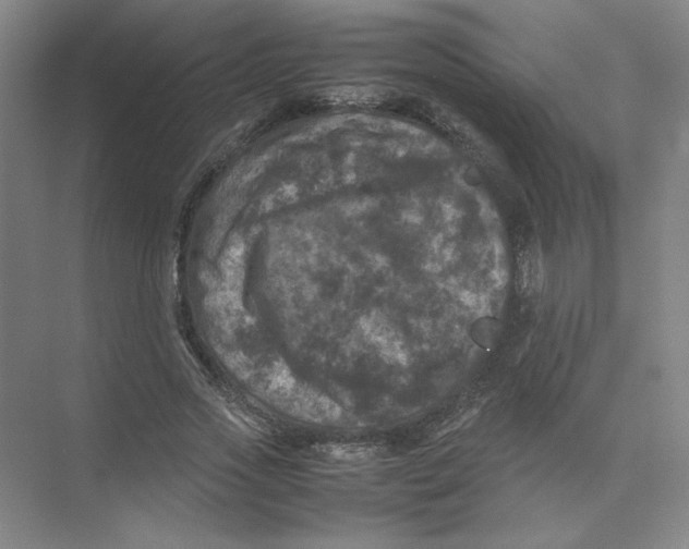 X0000074030733200609181926