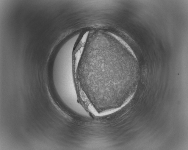 X0000074030734200609181926