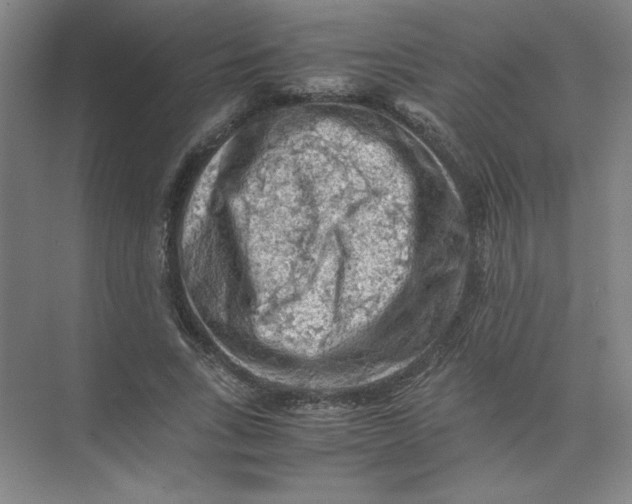 X0000074030735200609181926