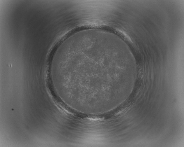 X0000074030736200609181926