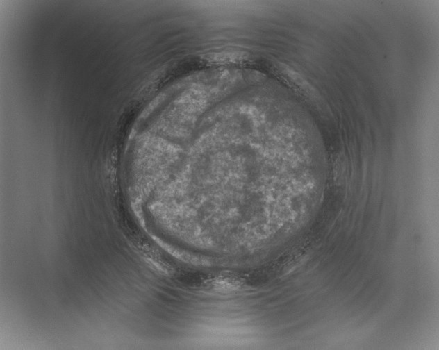 X0000074030737200609181926