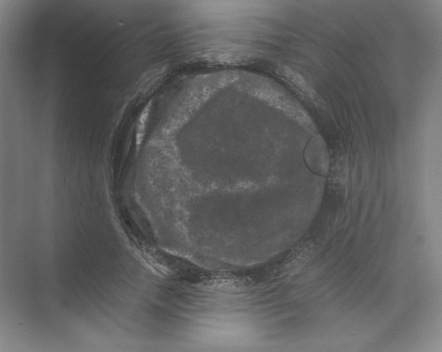 X0000074030738200609181926