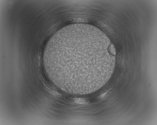 X0000074030741200609181926