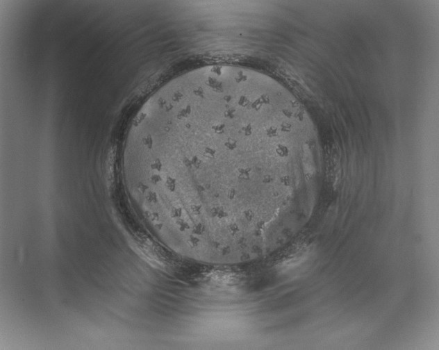 X0000074030742200609181926