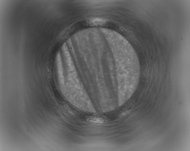 X0000074030743200609181926