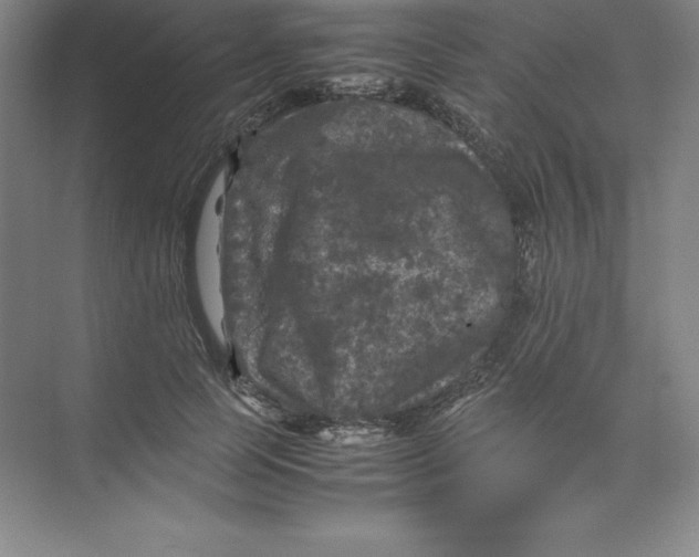 X0000074030745200609181926