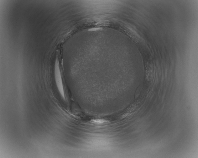 X0000074030748200609181926