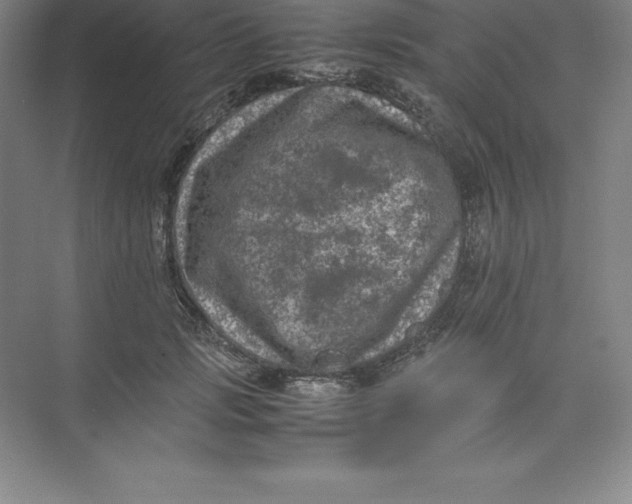 X0000074030749200609181926