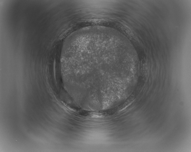 X0000074030750200609181926