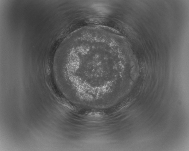 X0000074030751200609181926