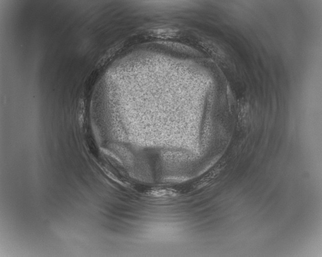 X0000074030752200609181926