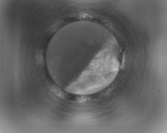 X0000074030754200609181926