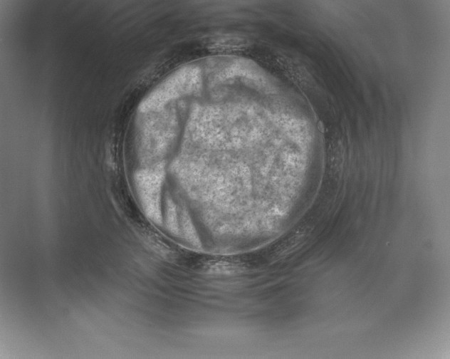 X0000074030755200609181926