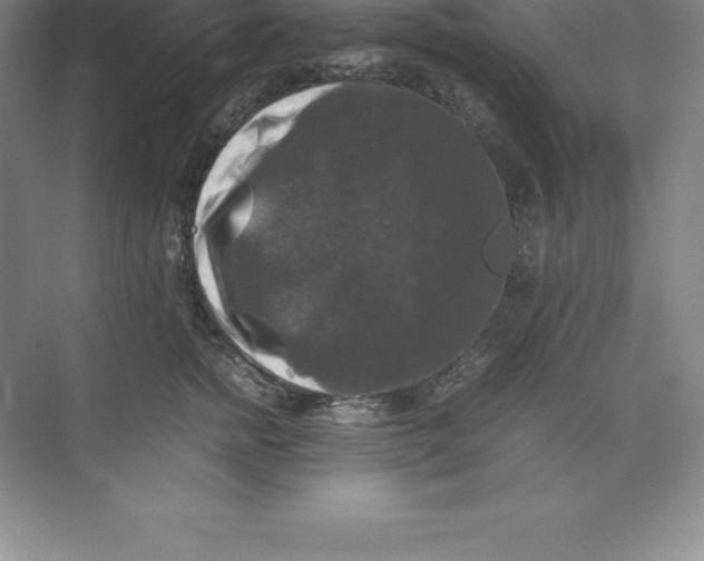 X0000074030758200609181926