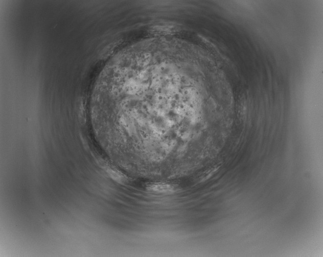 X0000074030759200609181926