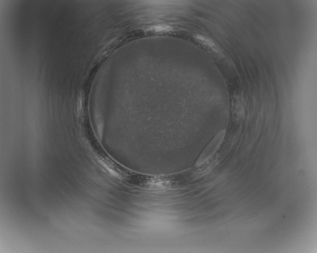 X0000074030760200609181926