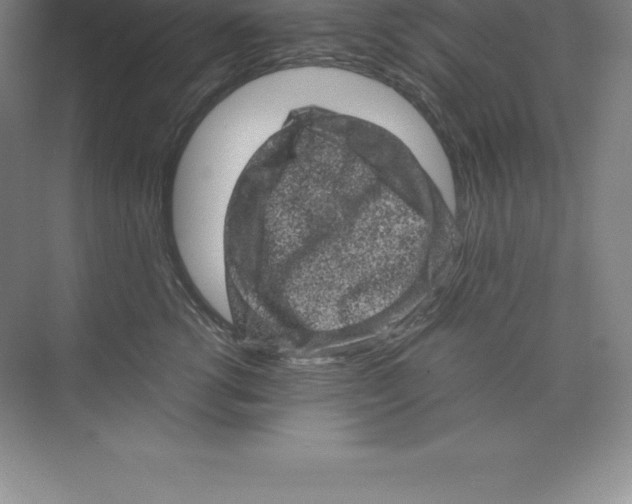 X0000074030762200609181926