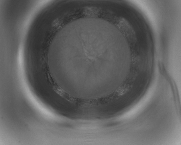 X0000074030765200609181926