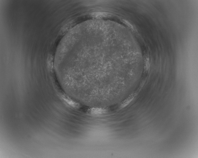 X0000074030766200609181926