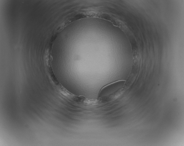 X0000074030767200609181926