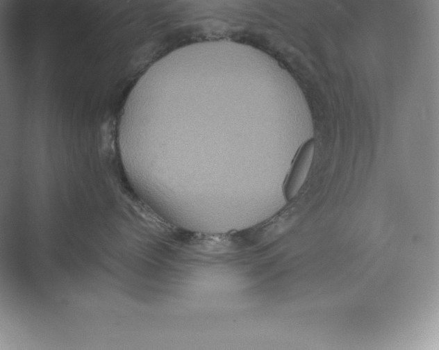 X0000074030768200609181926