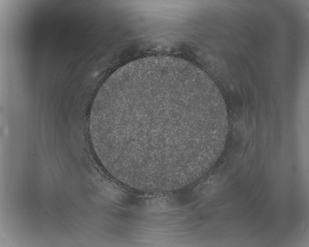 X0000074030769200609181926