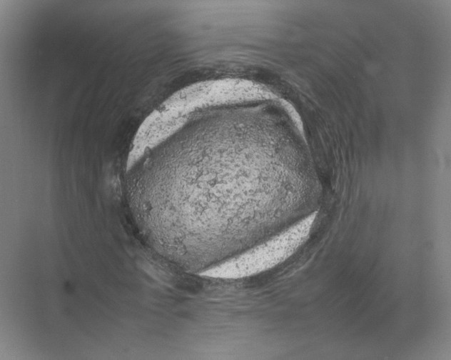 X0000074030771200609181926