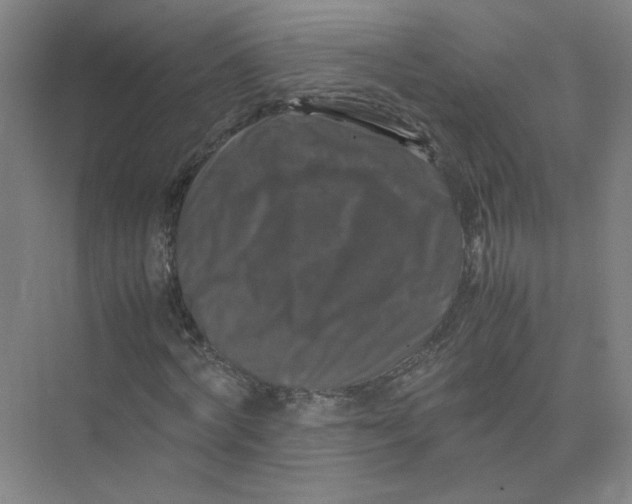 X0000074030772200609181926