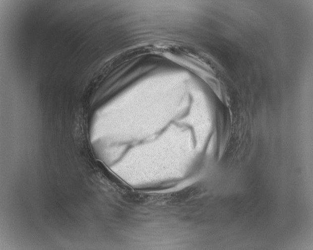 X0000074030773200609181926