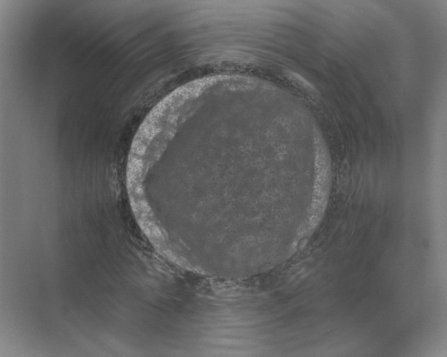 X0000074030774200609181926