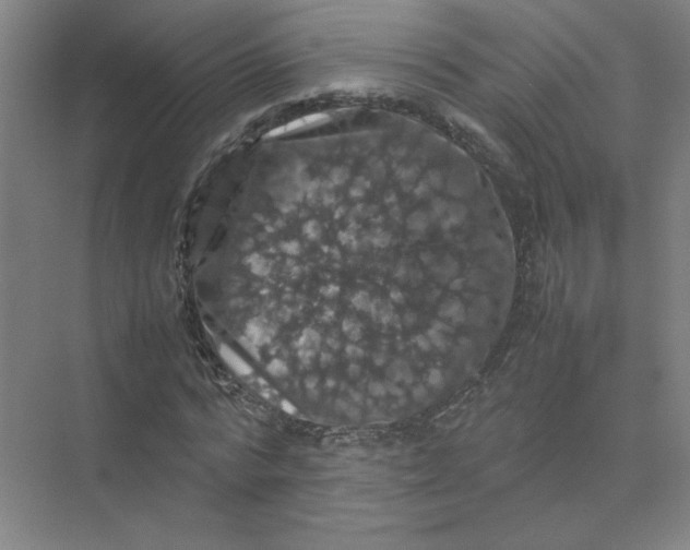 X0000074030776200609181926