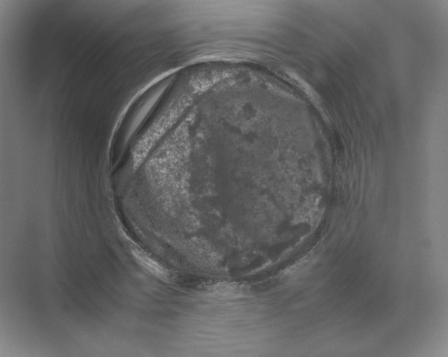 X0000074030779200609181925