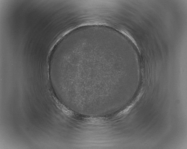 X0000074030781200609181925