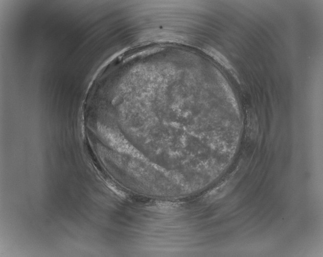 X0000074030782200609181925