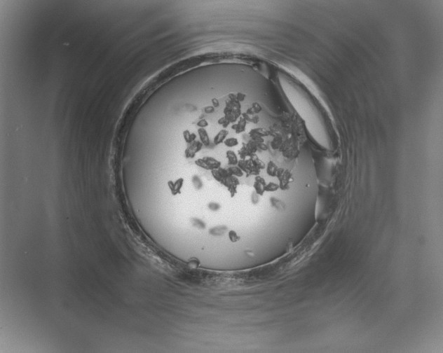 X0000074030783200609181925